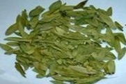 Natural compounds from  Cassia acutifolia Delile