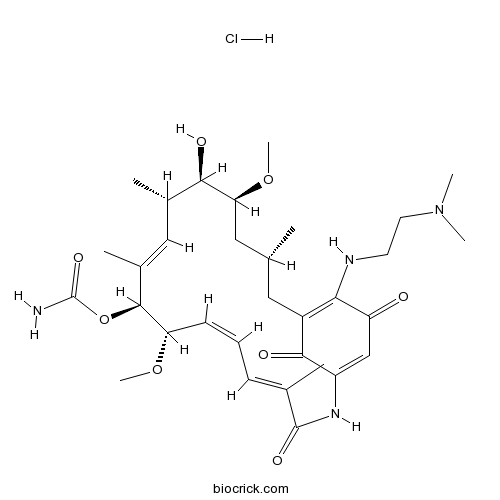 17-DMAG (Alvespimycin) HCl