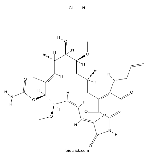 17-AAG Hydrochloride