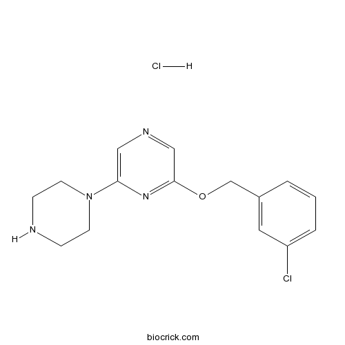 CP-809101 hydrochloride