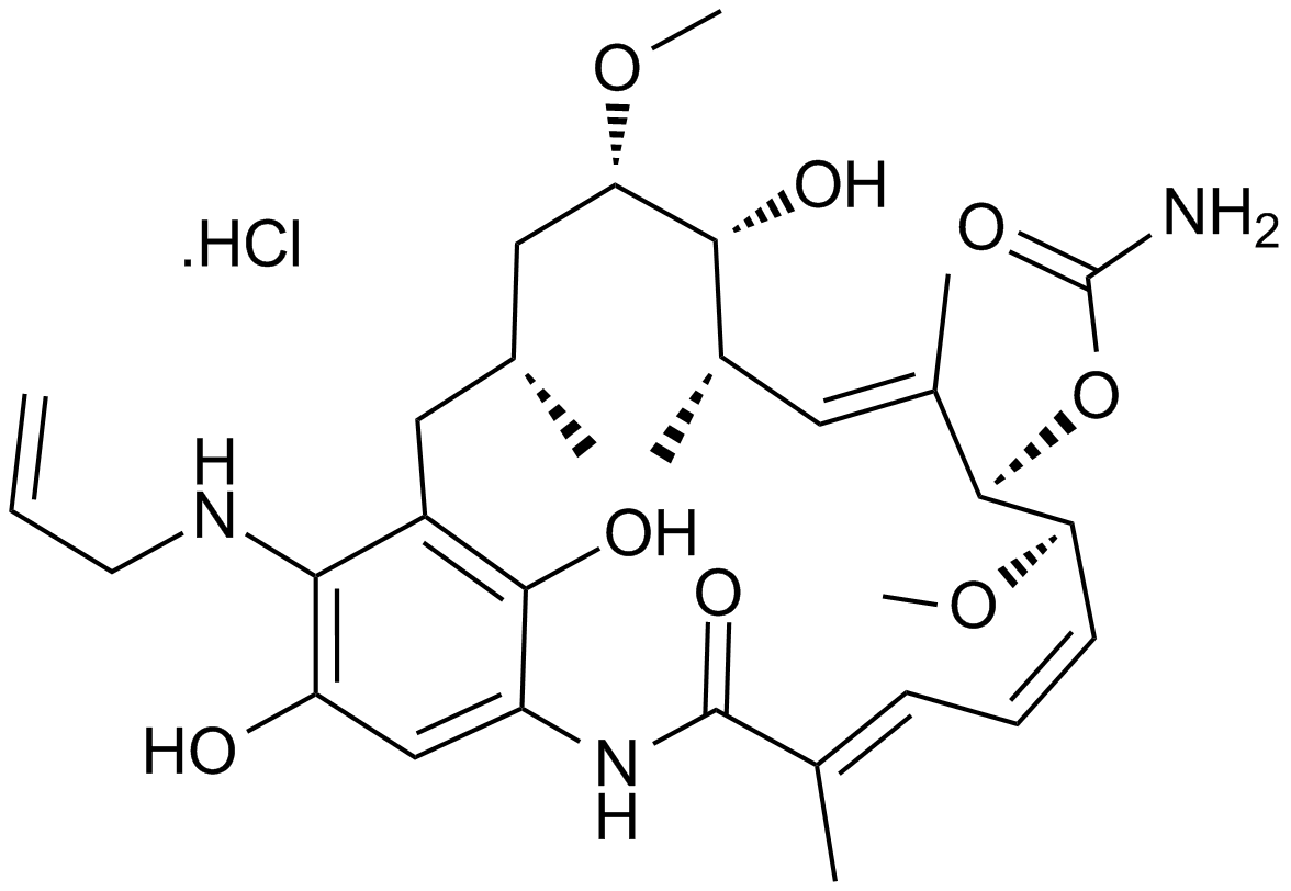 IPI-504 (Retaspimycin hydrochloride)