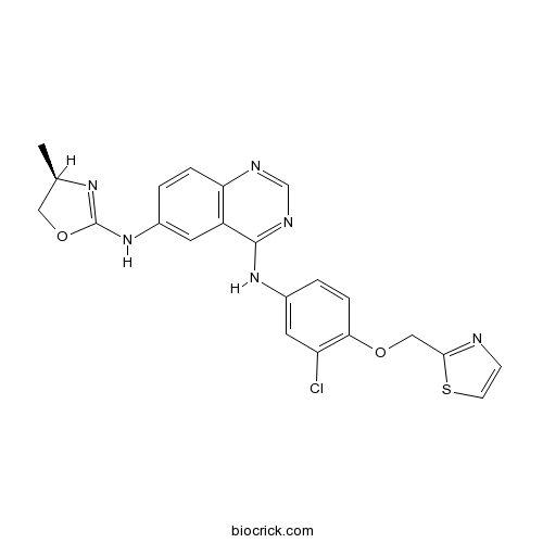 Varlitinib (ARRY334543)