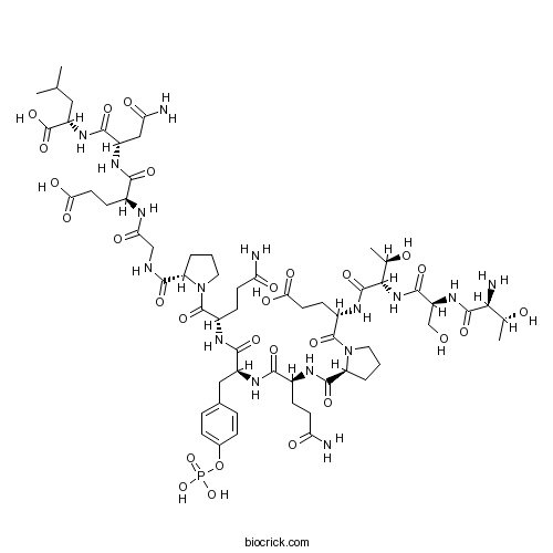 pp60 c-src (521-533) (phosphorylated)