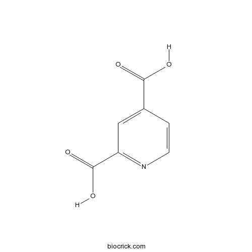 2,4-Pyridinedicarboxylic Acid