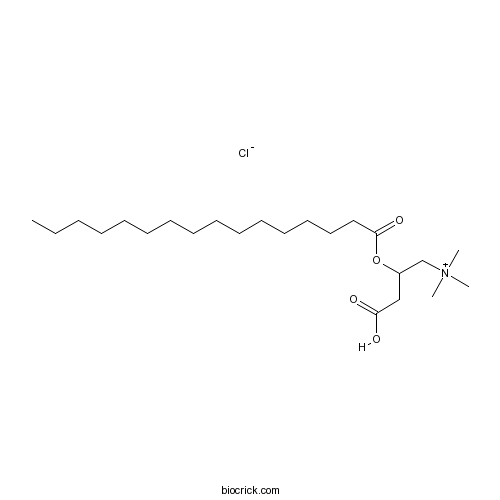 (±)-Palmitoylcarnitine chloride