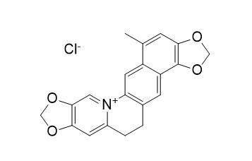 Corysamine chloride