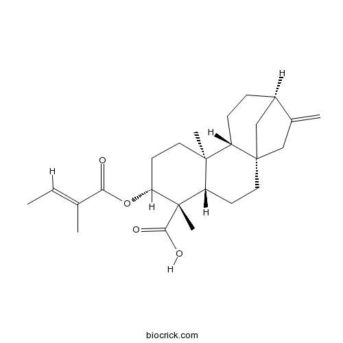 ent-3Beta-Tigloyloxykaur-16-en-19-oic acid