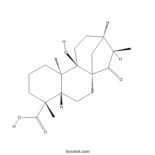ent-9-Hydroxy-15-oxo-19-kauranoic acid