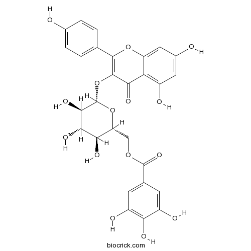 Kaempferol 3-O-(6''-galloyl)-beta-D-glucopyranoside