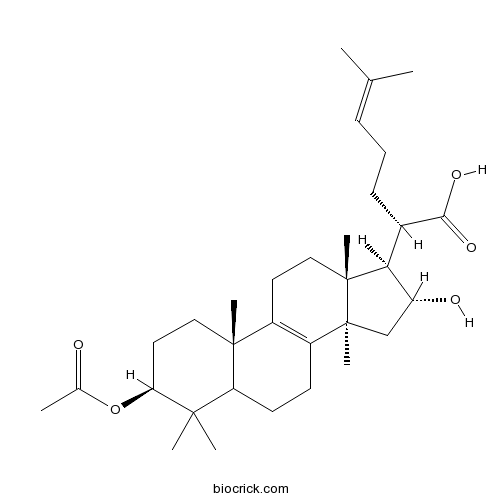 3-O-Acetyl-16 alpha-hydroxytrametenolic acid