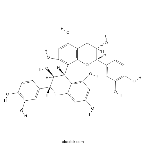 Procyanidin B3