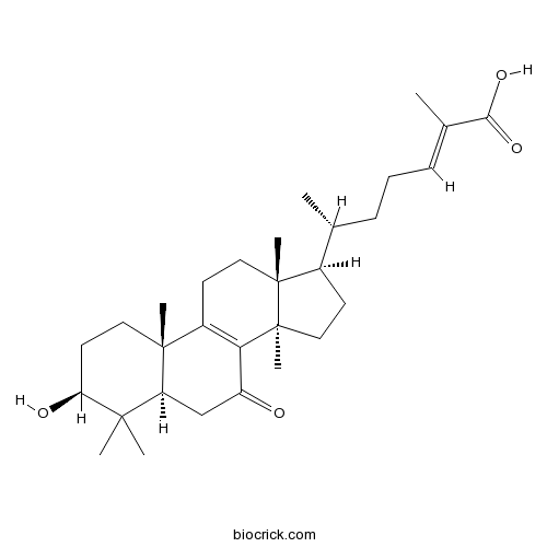 7-Oxo-ganoderic acid Z