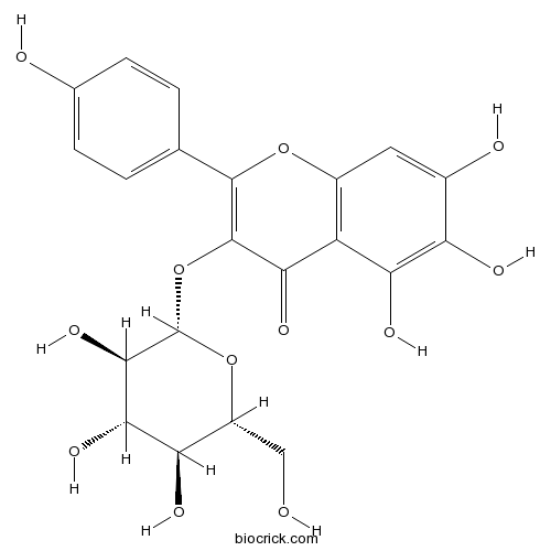 6-Hydroxykaempferol 3-O-beta-D-glucoside