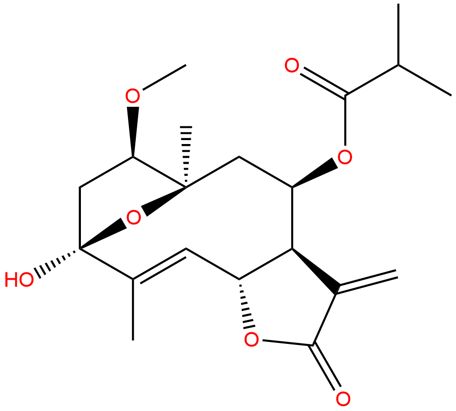 1β-Methoxydiversifolin