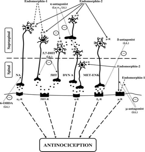 BCC1008_2