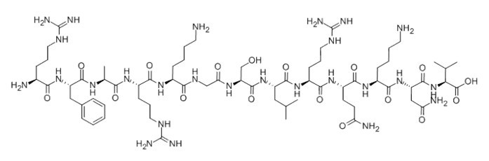 BCC1022_1