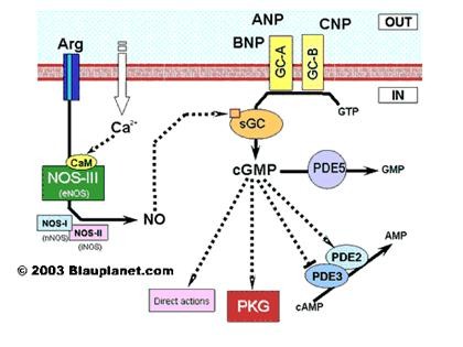 BCC1039_2