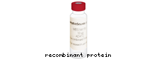 Lymphocyte Function Associated Antigen 3 (LFA3), Recombinant Protein