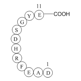 Beta-Amyloid (1-11)