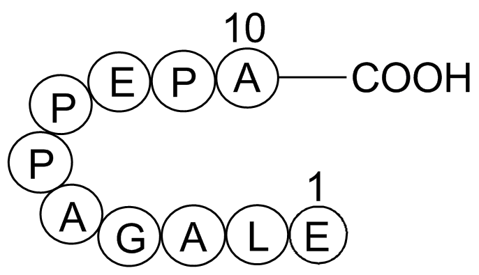 Beta-Lipotropin (1-10), porcine