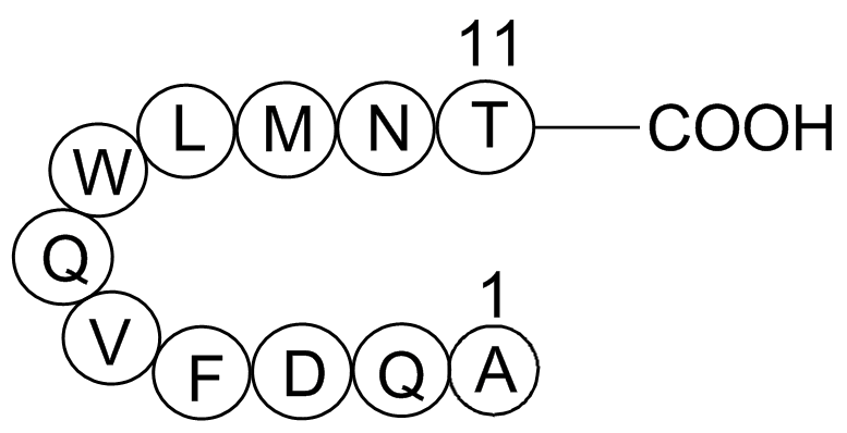 Glucagon (19-29), human