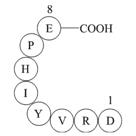 Angiotensin II