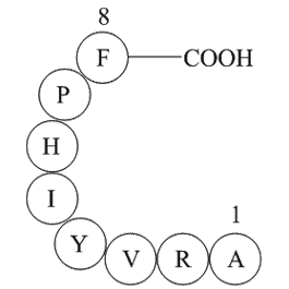 Angiotensin 1/2 + A (2 - 8)