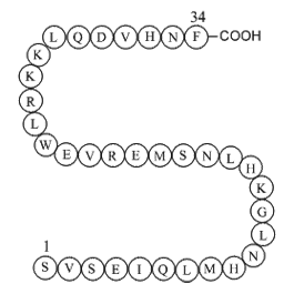 Parathyroid hormone (1-34) (human)