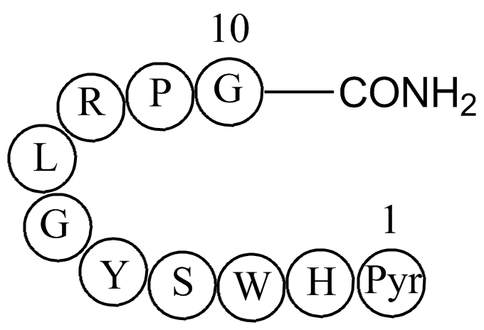 Luteinizing Hormone Releasing Hormone (LHRH)