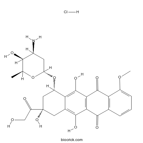 Doxorubicin (Adriamycin) HCl