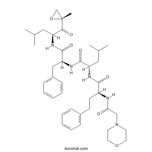 Carfilzomib (PR-171)