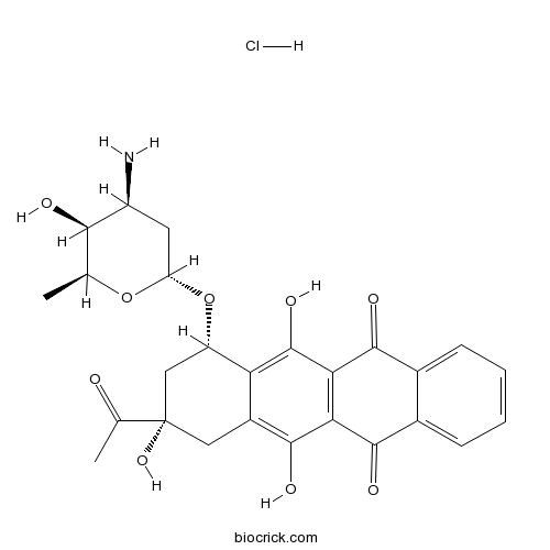 Idarubicin HCl