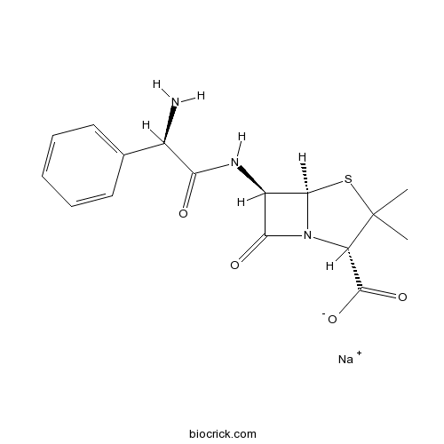 Ampicillin