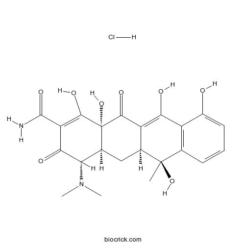 Tetracycline Hydrochloride