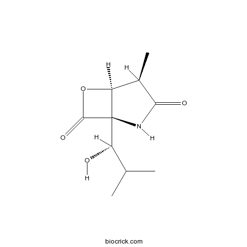 Clasto-Lactacystin β-lactone