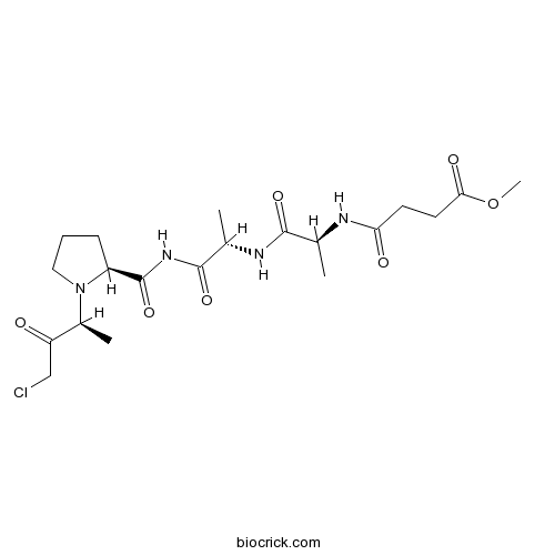 Elastase Inhibitor