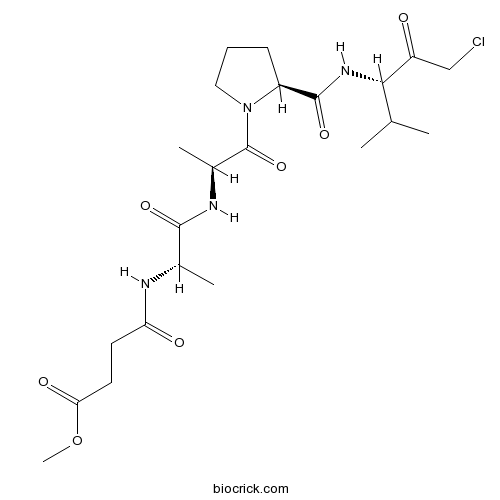 Elastase Inhibitor, SPCK