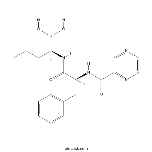 Bortezomib (PS-341)