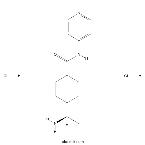 Y-27632 dihydrochloride