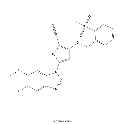 IKK-3 Inhibitor