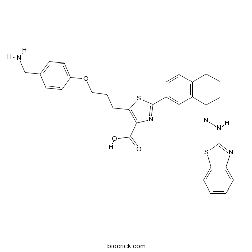 WEHI-539