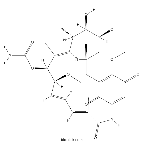 Geldanamycin