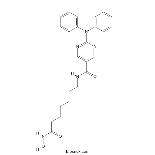 Rocilinostat (ACY-1215)