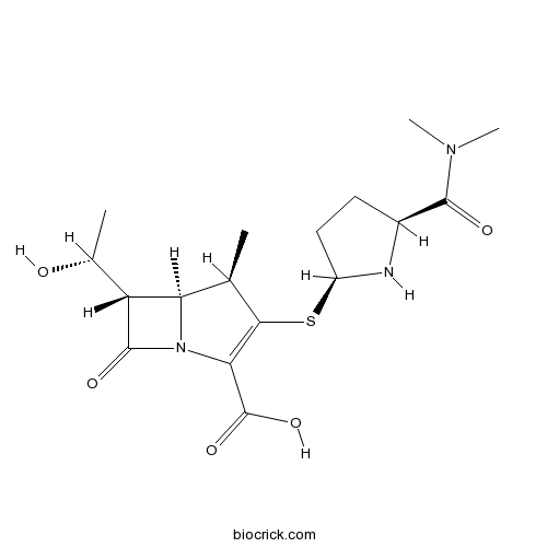 Meropenem