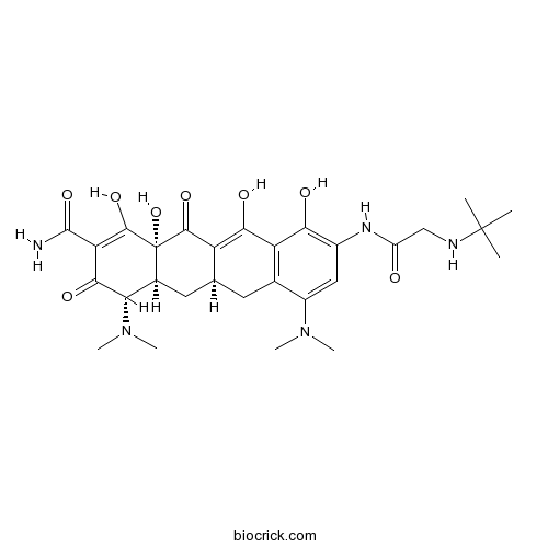 Tigecycline