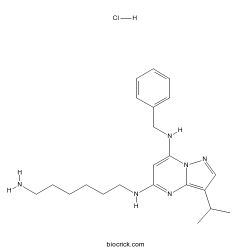 BS-181 HCl