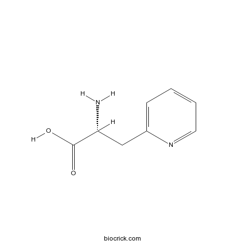 3-(2-Pyridyl)-D-Alanine