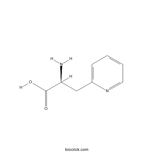3-(2-Pyridyl)-Alanine