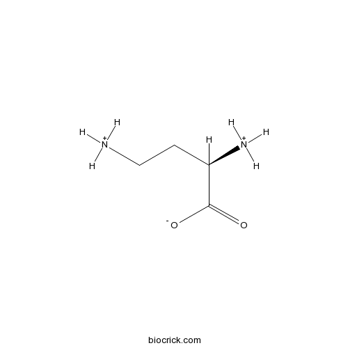 DL-Dab.2HCl