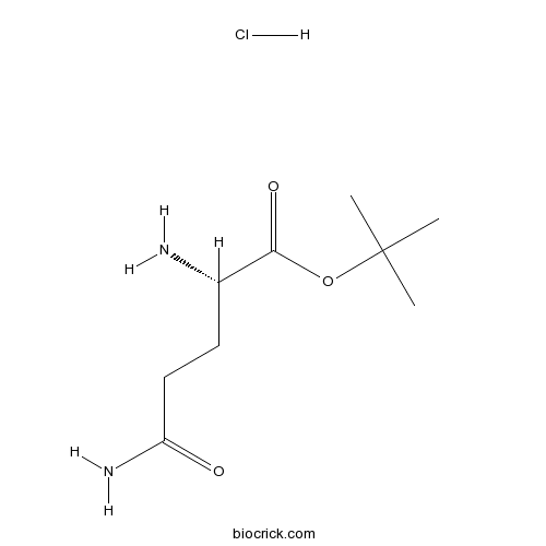 H-Gln-OtBu.HCl